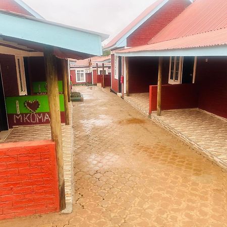 Mkomazi Hotels And Camps Hegoma エクステリア 写真